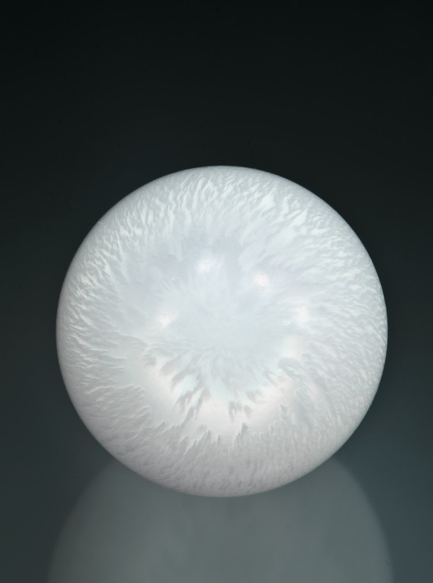 Clam natural pearl